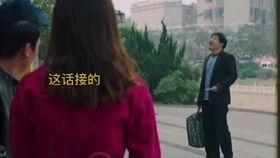 国产嫩叶视频在线观看,一窥中国茶文化之美